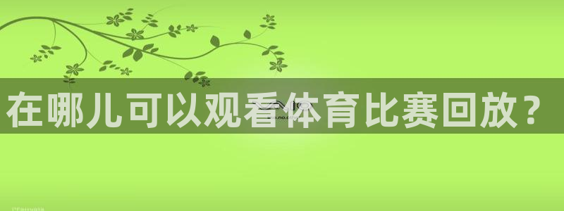360直播体育直播高清无插件：在哪儿可以观看体育比赛回放？