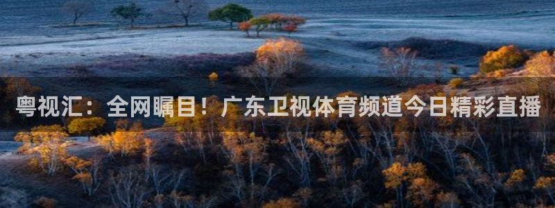 360吧体育直播app：粤视汇：全网瞩目！广东卫视体育频道今日精彩直播