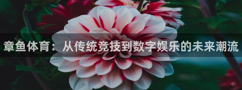 新360雨燕直播：章鱼体育：从传统竞技到数字娱乐的未来潮流