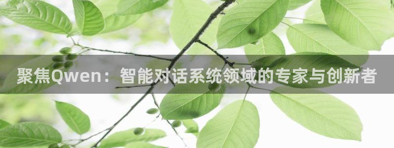 360足球直播视频在线直播观看免费：聚焦Qwen：智能对话系统领域的专家与创新者