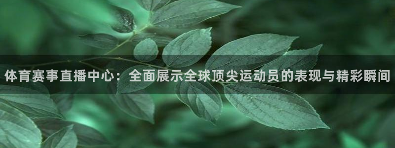 360直播网nba直播足球直播间：体育赛事直播中心：全面展示全球顶尖运动员的表现与精彩瞬间