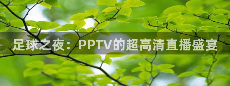 360足球直播赛事雨燕：足球之夜：PPTV的超高清直播盛宴