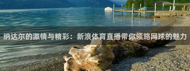 360看球直播在线直播：纳达尔的激情与精彩：新浪体育直播带你领略网球的魅力