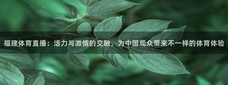 广东体育无插件直播360：福建体育直播：活力与激情的交融，为中国观众带来不一样的体育体验