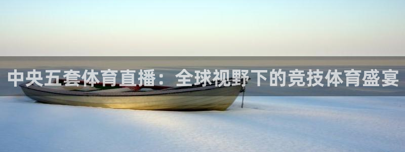 360高清体育在线直播：中央五套体育直播：全球视野下的竞技体育盛宴