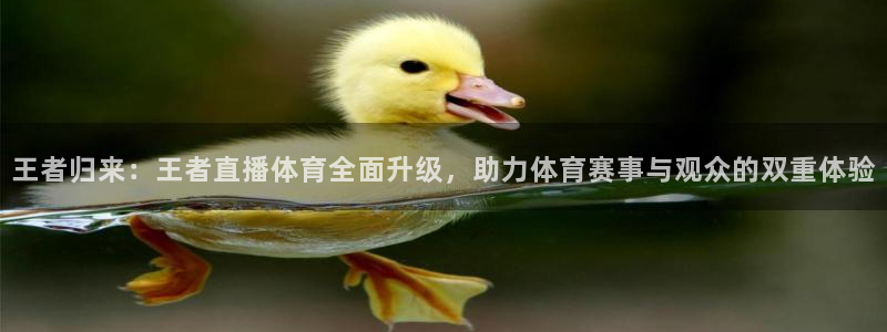 360体育免费直播在线观看：王者归来：王者直播体育全面升级，助力体育赛事与观众的双重体验